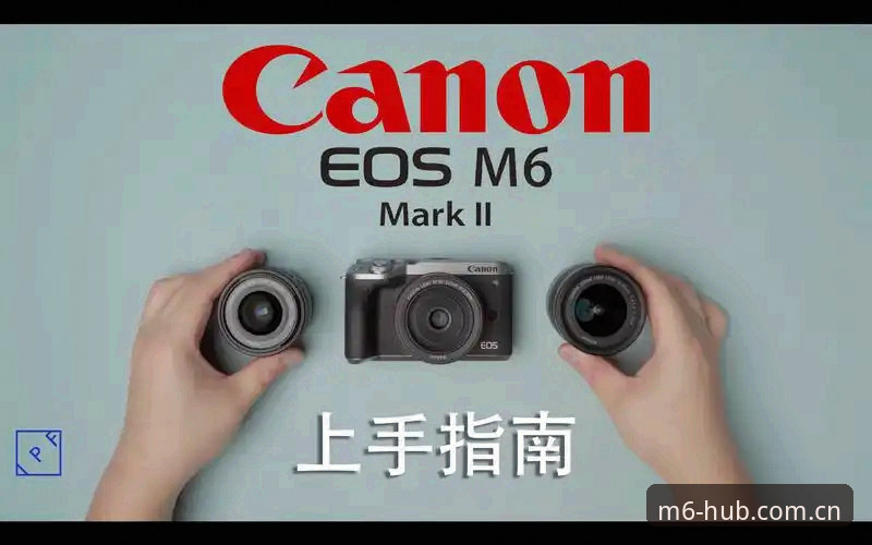 安卓版V3注册M6实操指南：从下载到登录的必备知识